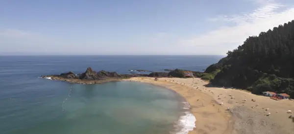 Costa de Donostia a Bilbo · 01556