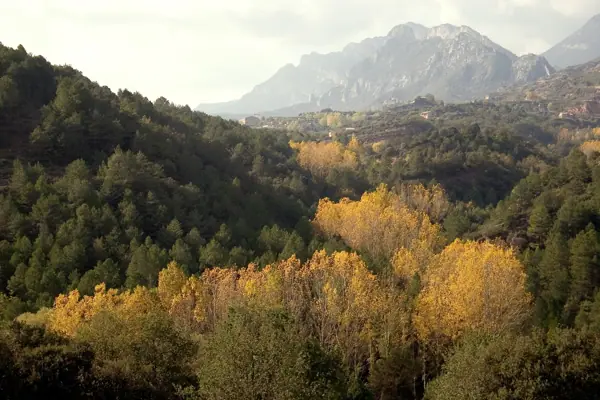 Borredà, camí i canals de Sant Miquel (Berga) · 00218