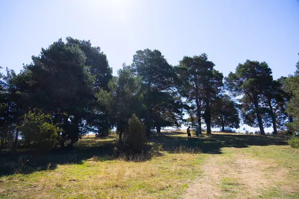 Serra de Busa (Navès) · 08829