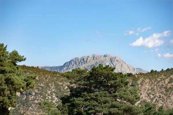 Serra de Busa (Navès) · 08832