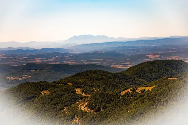 Serra de Busa (Navès) · 08833