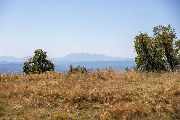 Serra de Busa (Navès) · 08836