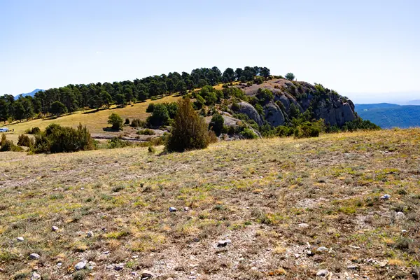 Serra de Busa (Navès) · 08837