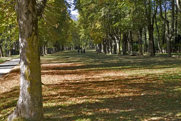 Passeig Maristany (Camprodon) · 02294