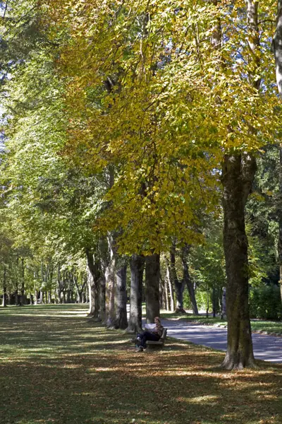 Passeig Maristany (Camprodon) · 02295