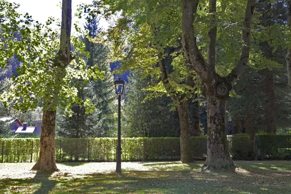 Passeig Maristany (Camprodon) · 02296