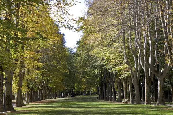 Passeig Maristany (Camprodon) · 02297
