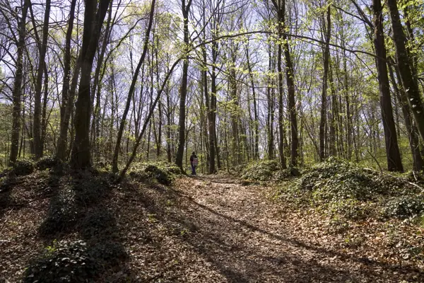 Poble i Fageda d'en Jordà (Castellfollit de la Roca) · 03210