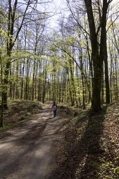 Poble i Fageda d'en Jordà (Castellfollit de la Roca) · 03211