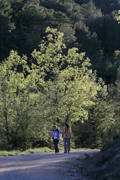 Valldarques, església i paisatges (Coll de Nargó) · 04289