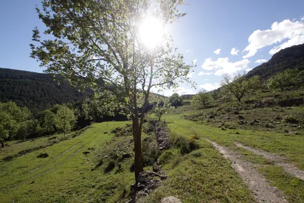 Valldarques, església i paisatges (Coll de Nargó) · 04291