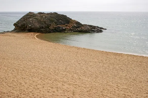 Coves marines (Baix Empordà) · 00230