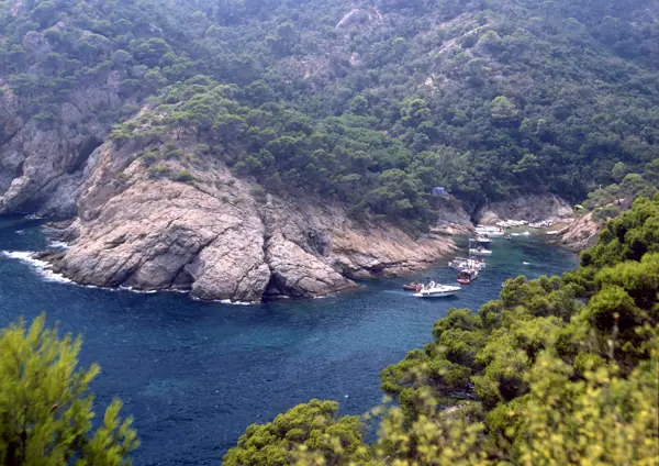 Coves marines (Baix Empordà) · 01058