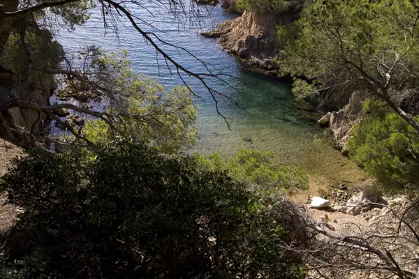 Coves marines (Baix Empordà) · 03746