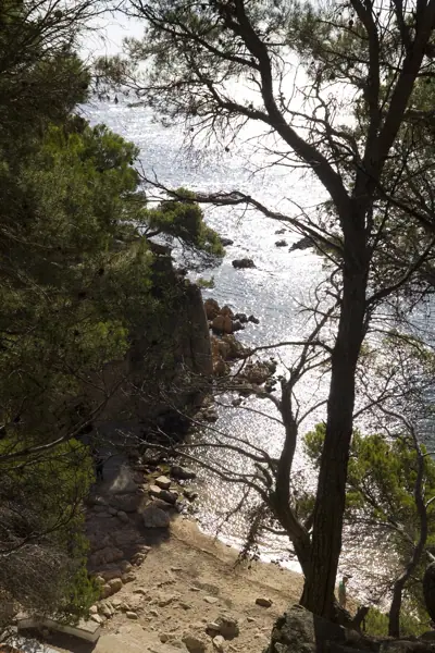 Coves marines (Baix Empordà) · 03747