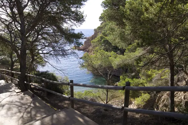 Coves marines (Baix Empordà) · 03745