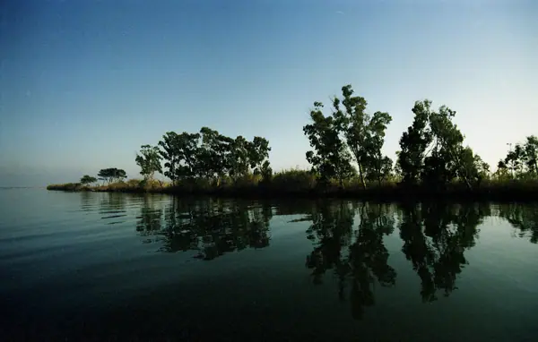 El Delta de l'Ebre (Delta de l'Ebre) · 07414