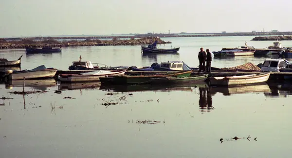 El Delta de l'Ebre (Delta de l'Ebre) · 07404