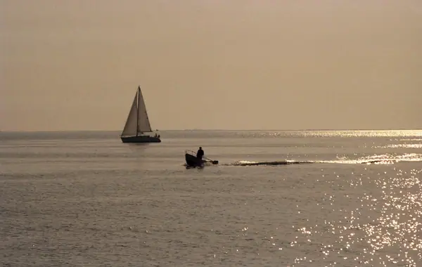 El Delta de l'Ebre (Delta de l'Ebre) · 07408