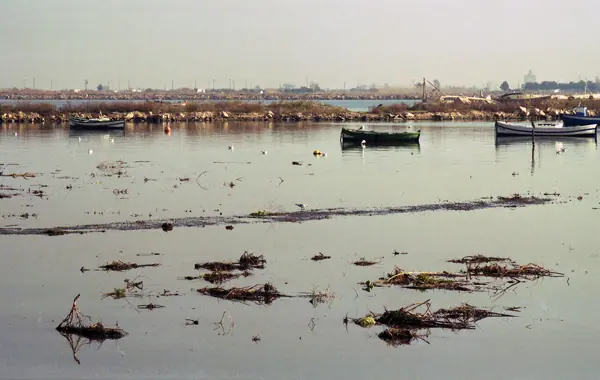 El Delta de l'Ebre (Delta de l'Ebre) · 07405