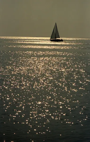 El Delta de l'Ebre (Delta de l'Ebre) · 07406