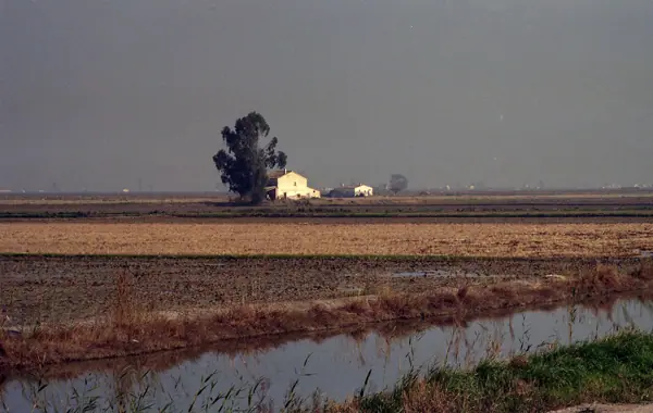 El Delta de l'Ebre (Delta de l'Ebre) · 07411