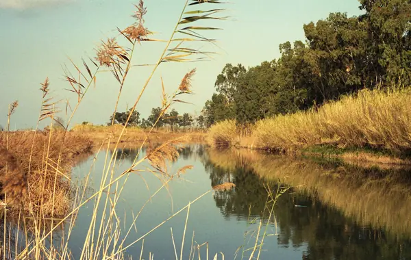 El Delta de l'Ebre (Delta de l'Ebre) · 07412
