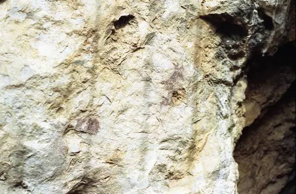 Pintures rupestres, 1992 (El Cogul) · 07424