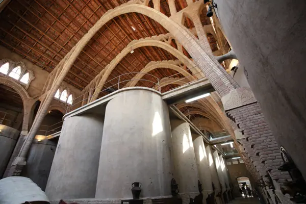 Catedral del Vi (El Pinell de Brai) · 05978
