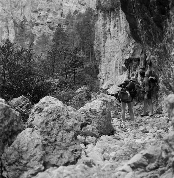 Les Gúbies del Matarranya, 1964 (Els Ports) · 07340
