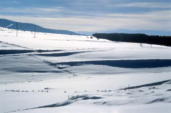 Tren Groc, 1976 (Font-Romeu) · 00885