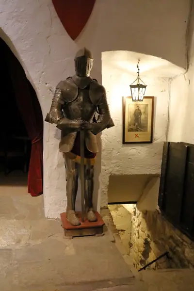 Castell de Montsonís (Foradada) · 06213