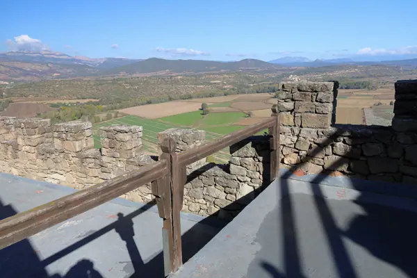 Castell de Montsonís (Foradada) · 06201