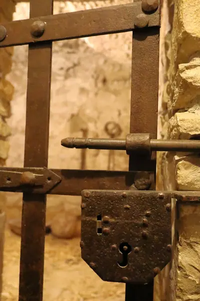 Castell de Montsonís (Foradada) · 06214