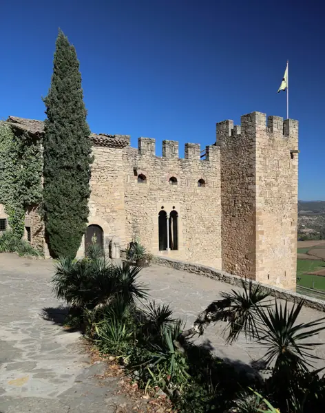 Castell de Montsonís (Foradada) · 06187