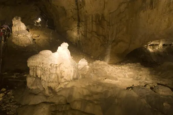 Alts Pirineus, coves de La Bastide · 00829