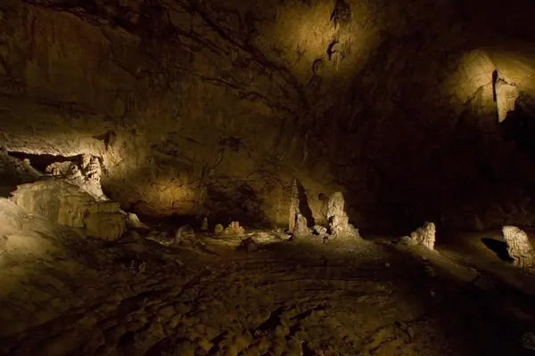 Alts Pirineus, coves de La Bastide · 00827