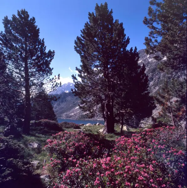 Alts Pirineus, Val Louron i llacs · 01213