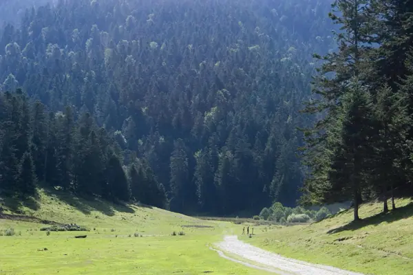 Alts Pirineus, Val Louron i llacs · 00822