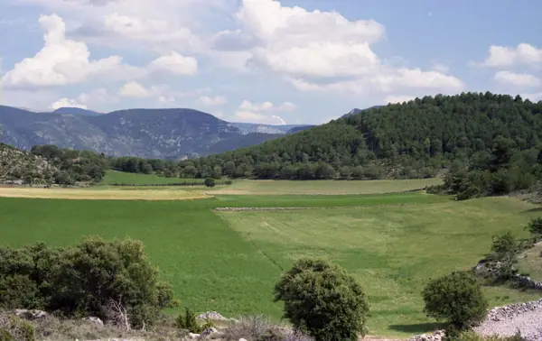 De Querforadat a la Seu d'Urgell, paisatges (1982) (Alt Urgell) · 05732