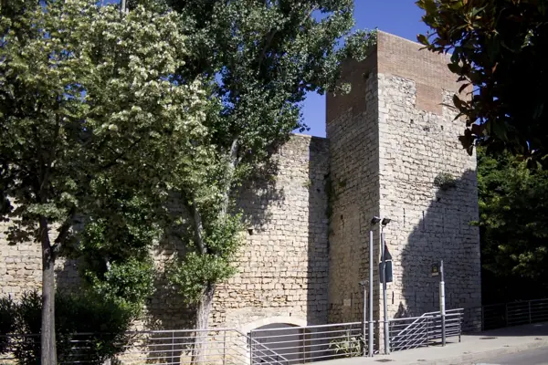 Monument de la Lleona i muralles (Girona) · 05085