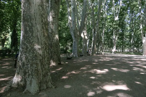 La Devesa i la Lleona (Girona) · 05073