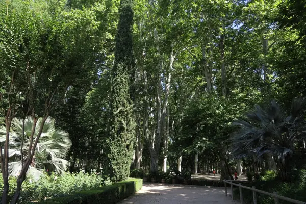 La Devesa i la Lleona (Girona) · 05075