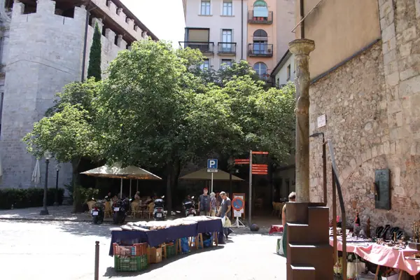 La Devesa i la Lleona (Girona) · 05082