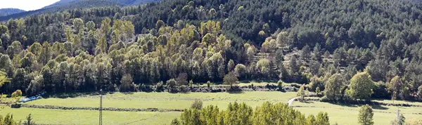 Paisatges (Gombrèn) · 07426