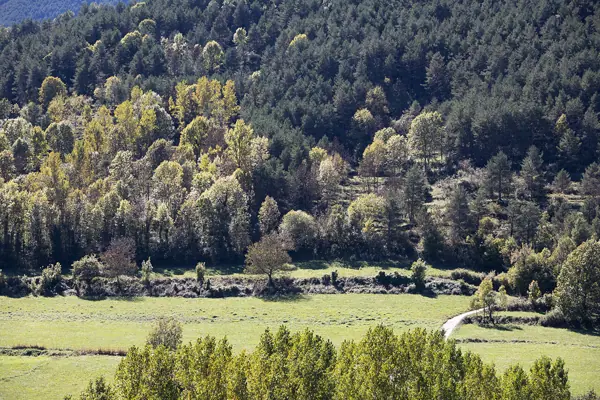 Paisatges (Gombrèn) · 07427