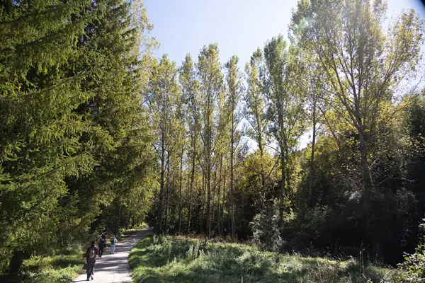 Paisatges (Gombrèn) · 07428