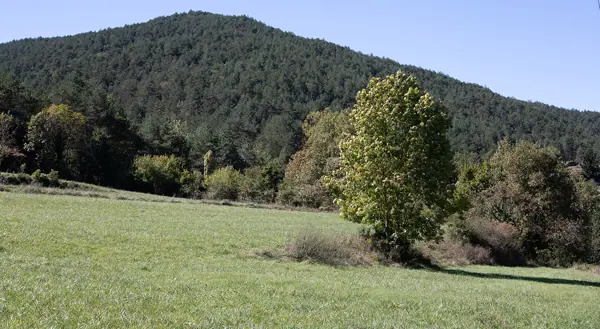 Paisatges (Gombrèn) · 07430