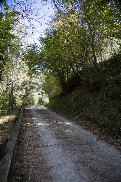 Paisatges (Gombrèn) · 07431