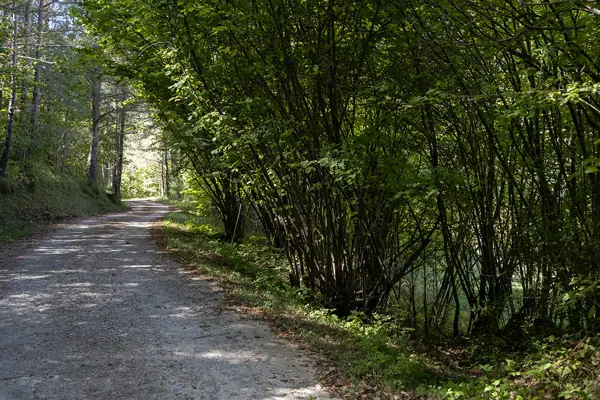 Paisatges (Gombrèn) · 07432